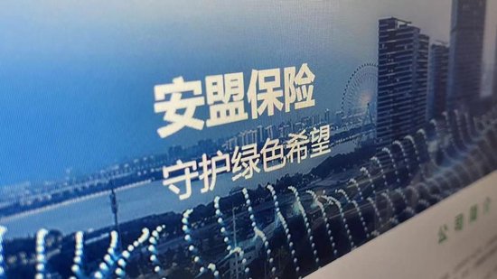 安盟财险因关联交易、关联方漏报等被罚47万 今年多次因数据不真实被罚