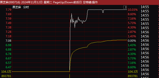 新快报 第4页